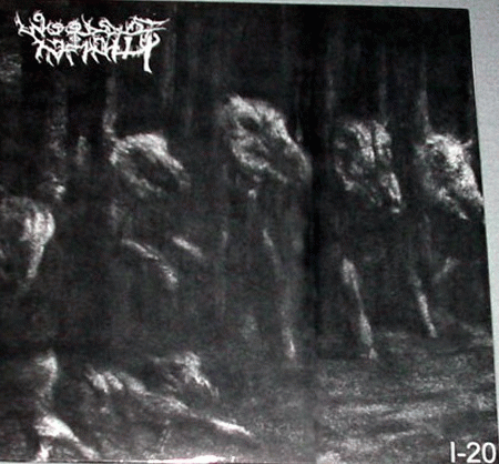 Woods Of Infinity : I-20